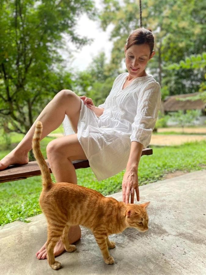 La Maison - Chiangmai Mae Taeng Zewnętrze zdjęcie