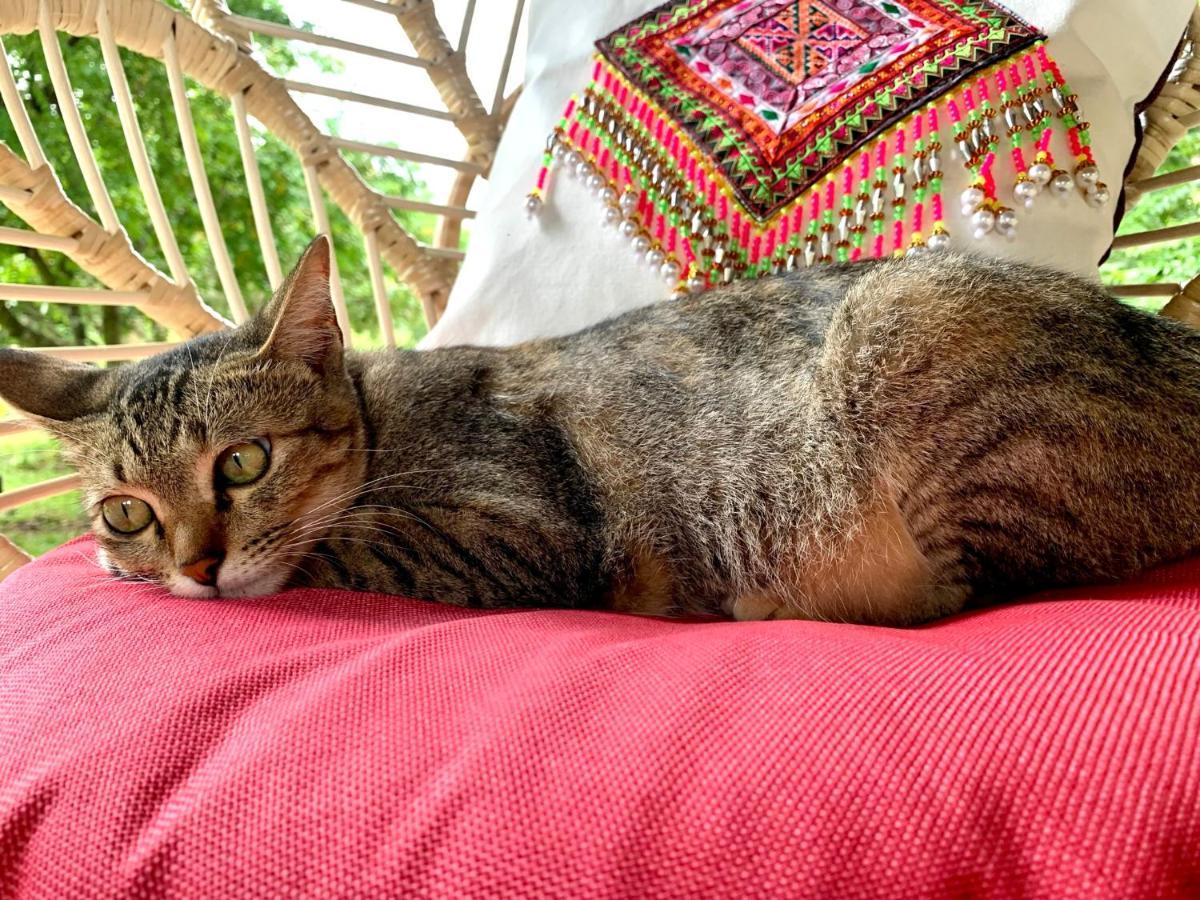 La Maison - Chiangmai Mae Taeng Zewnętrze zdjęcie