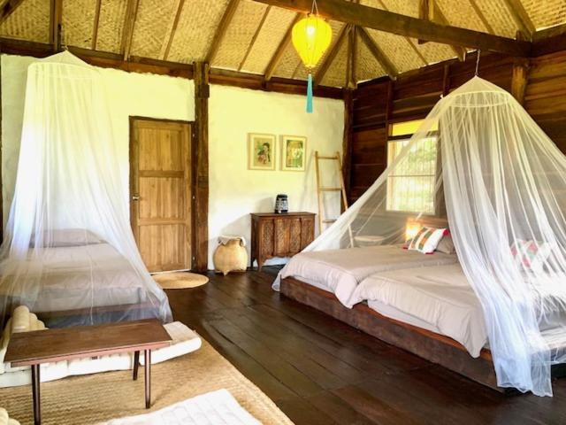La Maison - Chiangmai Mae Taeng Zewnętrze zdjęcie